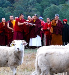 HH Sakya Trizin blessing the flock at SIBA in 2009