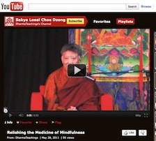 SLCD DharmaTeachings Channel